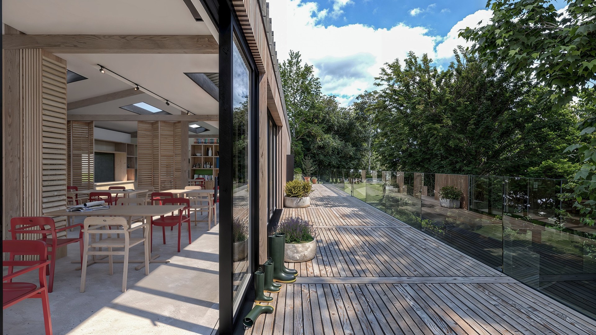 The raised deck area over a bank, that overlooks the school wooded area and estuary and offers a unique, close view of the canopy of some of our largest trees. The perfect wildlife spotting position.  Design OCR Architecture, 3D render Larch Studios